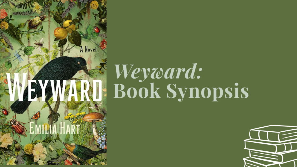 synopsis of weyward